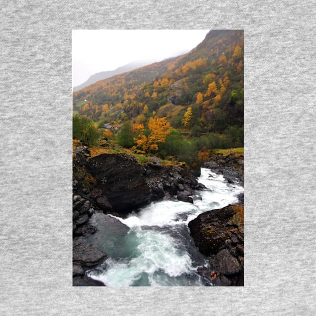 Waterfall Flamsdalen Valley Flam Norway by AndyEvansPhotos